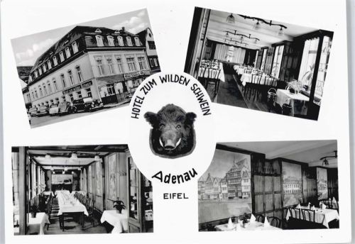 Adenau Hotel zum wilden Schwein