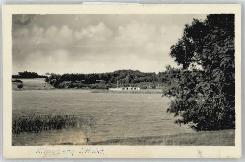 Klingberg See, Schilf
