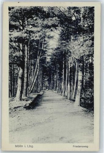 Mölln Friedensweg