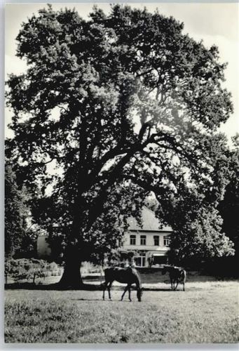Hartenholm Pferdewiese
