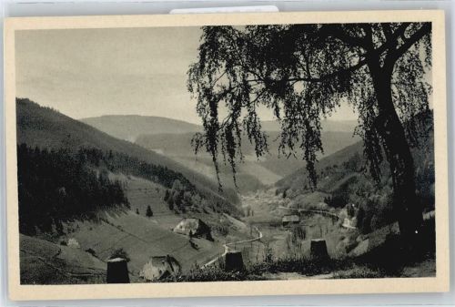 Königsfeld Nussbachtal