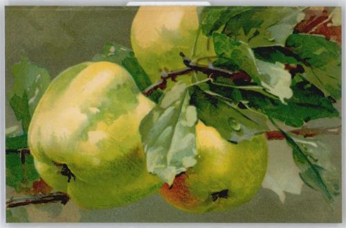 No.539 , Äpfel