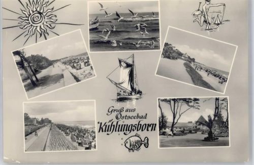 Kühlungsborn Strand, Möwen AKU2
