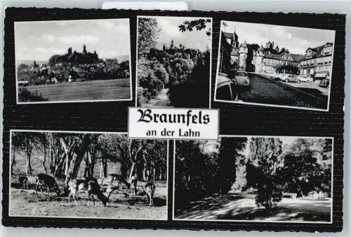 Braunfels Gesamtansicht, Rehe, Markt