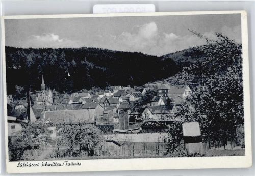 Schmitten Panorama