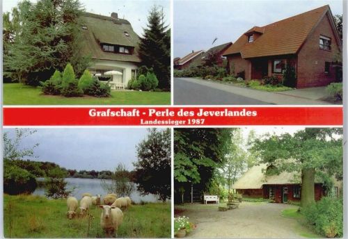 Grafschaft Siedlung, Schafe