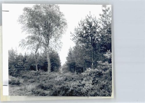Steden Foto mit Negativ