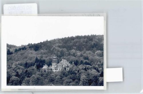 Schwebda Foto mit Negativ, Schloß