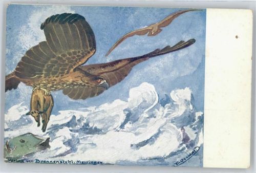 Adler mit Beute , sign. E.Osswaud