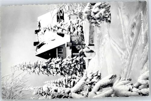 Bärenfels Gasthaus, Winter