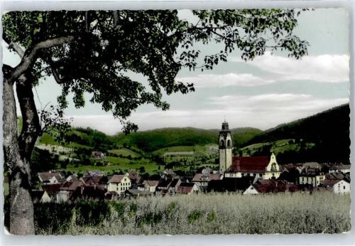 79183 W7808 Kollnau
