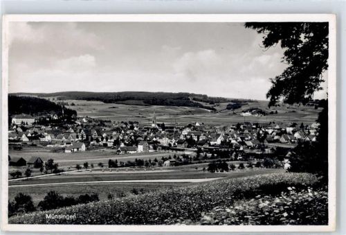 Münsingen