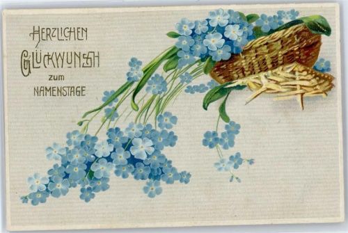 blaue Veilchen