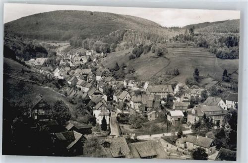 Bad Grund Gesamtansicht