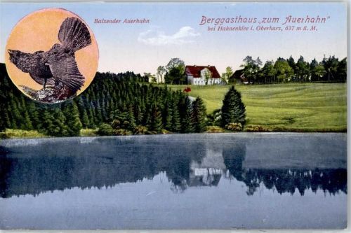 Hahnenklee Berggasthaus zum Auerhahn