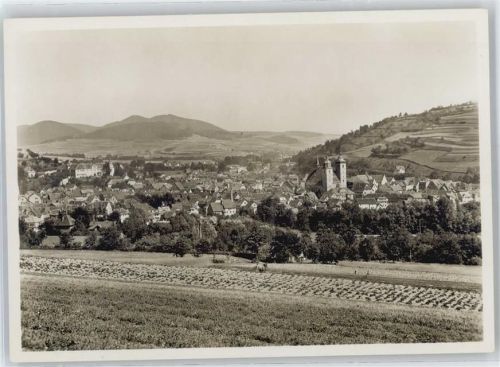 Schmalkalden Felder