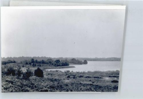 Molbergen Foto mit Negativ, Ferienhof Dwergte