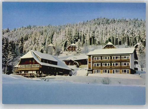 Hinterzarten Hotel, Pension Birkenberger
