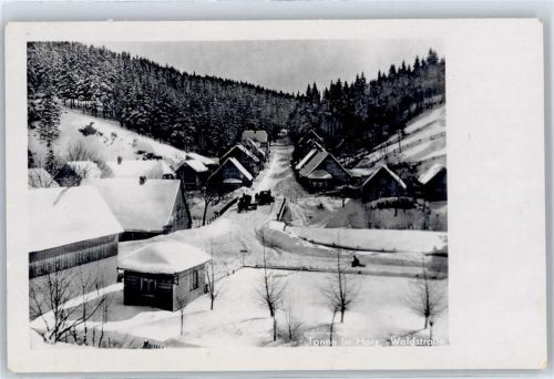 Tanne Waldstraße