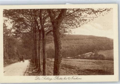 Neuhaus Waldweg