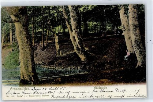 Malente-Gremsmühlen Waldpartie