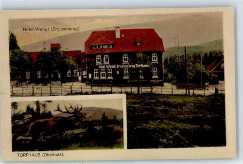 Torfhaus Hotel Wendt, Brockenkrug, Hirsch