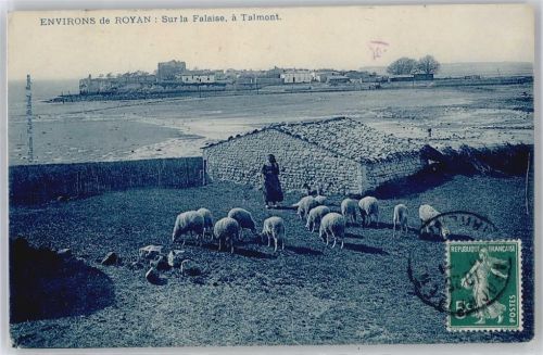 Royan Schaf