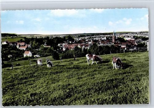 Mengeringhausen Kuhweide