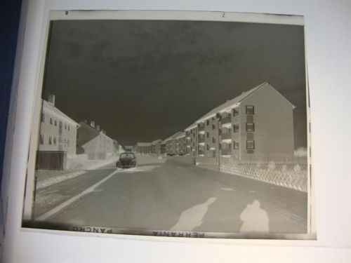 Heide Negativ
