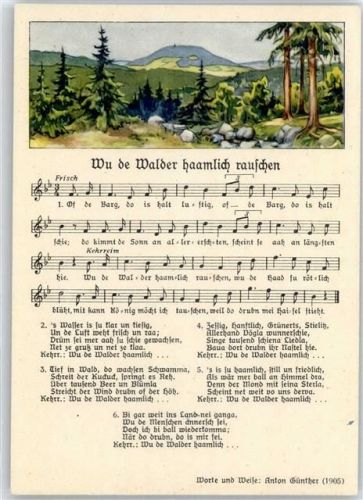 Wo die Wälder rauschen