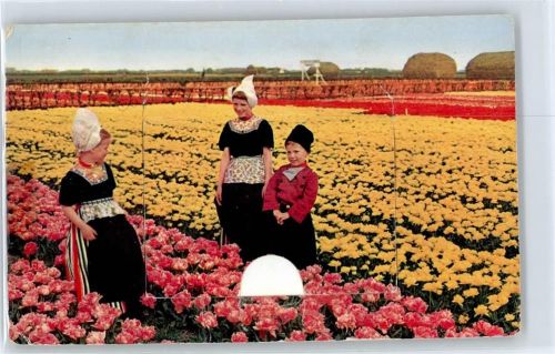 Alphen Trachten, Tulpenfeld
