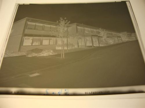 Rosche Negativ