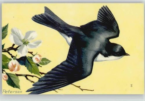 Western Songbirds No 4 Künstler sign Peterson Schwalbe National Wildlife Fed. Washington