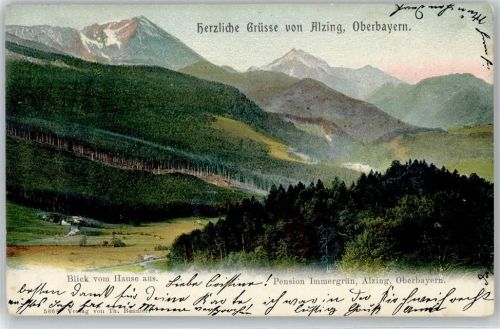 Alzing Blick von Pension Immergrün