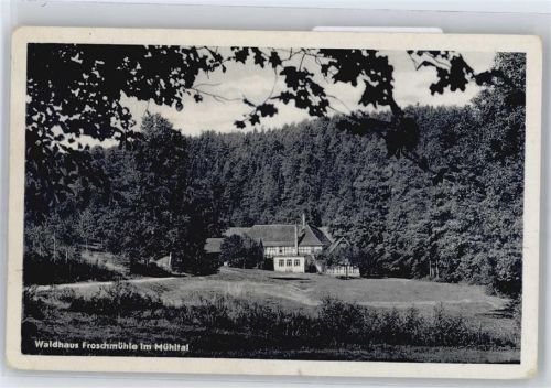 Bad Klosterlausnitz Waldhaus Froschmühle im Mühltal
