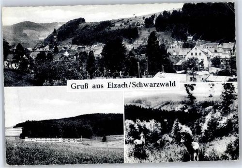 Elzach
