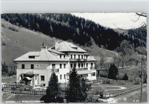 Gösing