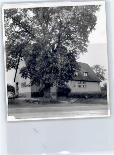Wassel Foto mit Negativ
