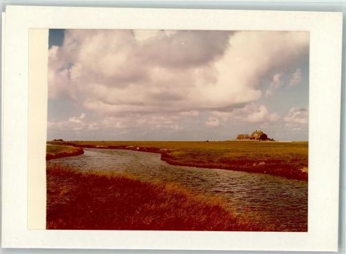 Hooge