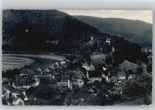 Neckarsteinach Burg