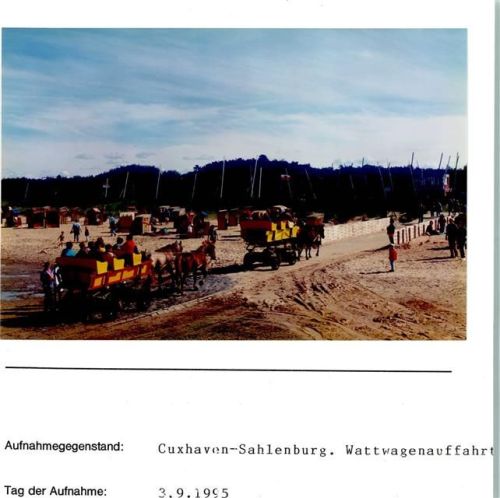 Sahlenburg Wattwagenauffahrt Pferdekutsche Foto montiert auf Karton
