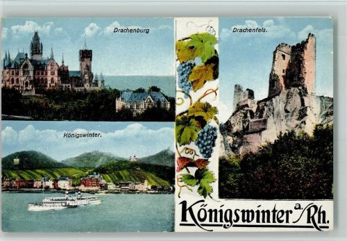 Königswinter Drachenburg Drachenfels Rheinschiff Weinranke