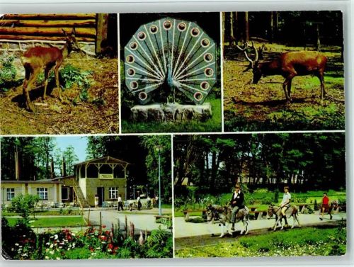 Ueckermünde Gruß aus dem Tierpark Esel Pfau Reh Hiirsch
