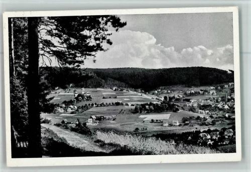 Baiersbronn Ortsansicht