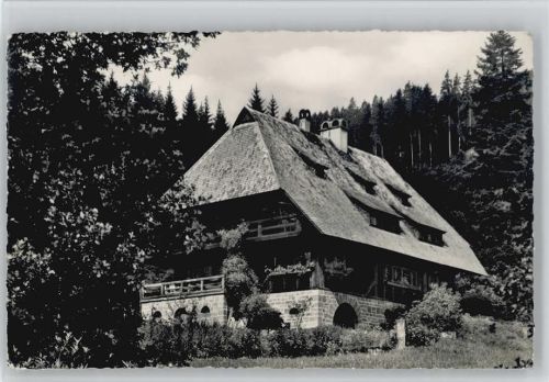 Schmieh Bad Teinach Dachshof 1963 Foto AK