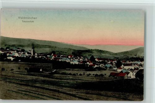 Waldmünchen Gesamtansicht