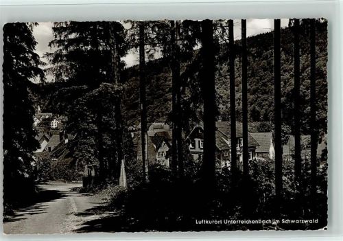 Unterreichenbach Bäume