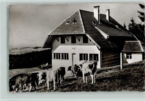 Altenschwand Naturfreundehaus Hotzenwald Posthilfsstempel