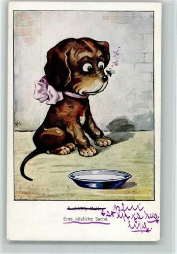 Junger Hund mit Mücke aus der Nase