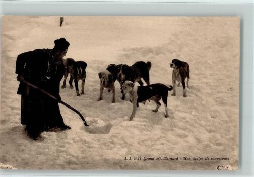 Hunde mit Schäfer im Schnee